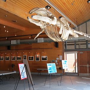 Lecture Hall and Conference Center - Interior