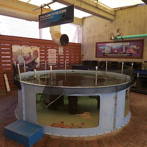 Surf Science Learning Center - Live Exhibits