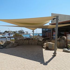 Tidepool Live Exhibit