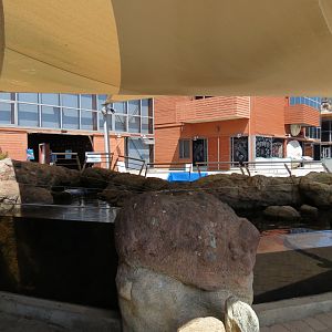 Tidepool Live Exhibit