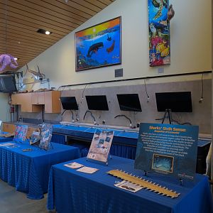 Ecology Building - Exhibits