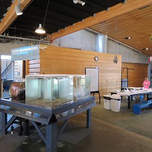 Ecology Building - Live Exhibits