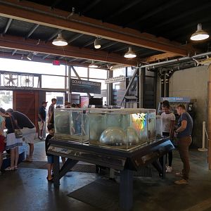 Ecology Building - Live Exhibits