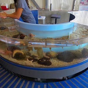 Ecology Building - Live Exhibits