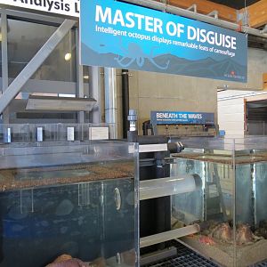 Ecology Building - Live Exhibits