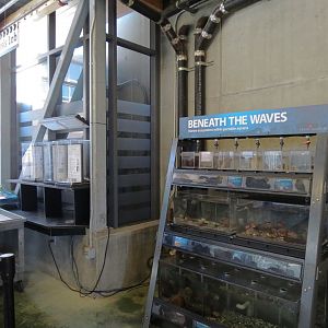 Ecology Building - Live Exhibits