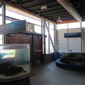Ecology Building - Live Exhibits