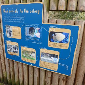 Signage outside Penguin Rock