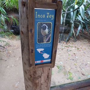 Inca Jay signage in Magnificent Macaws