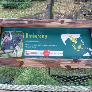 Binturong Signage on old Tiger/Sun Bear enclosure