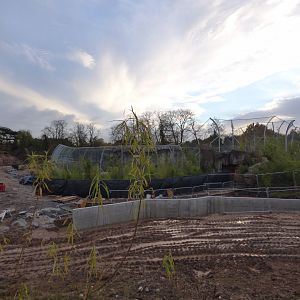 Construction of new Malayan Tapir enclosure in Islands