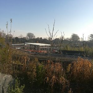 Malayen Tapir house under construction