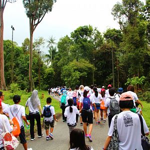 Night Safari in the day - Malayan Tapir drive-thru (no animals)