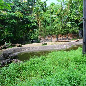 Night Safari in the day - Nile Hippo exhibit (no animals)