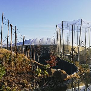 Islands in the frost