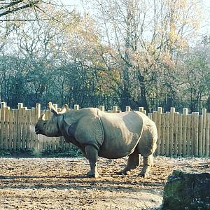 Enjoying the morning sun