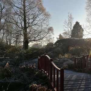 Gardens in the morning frost