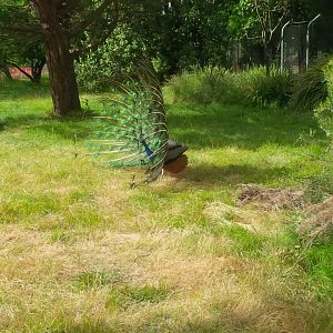 Sale Botanic Gardens