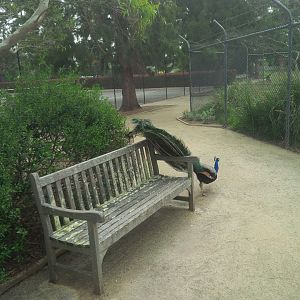 Sale Botanic Gardens