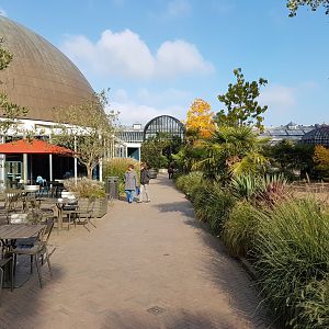 Planetarium ( left ) and Birdhouse ( front )