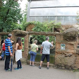 Enclosure Giant otter