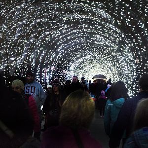 Festival of Lights 2016 - Entrance and Exit Bridge (Exit)