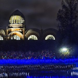 Festival of Lights 2016 - Elephant House