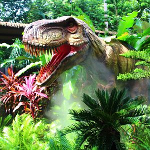 Dinosaur Valley - T-Rex