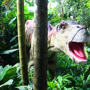 Dinosaur Valley - Iguanodon