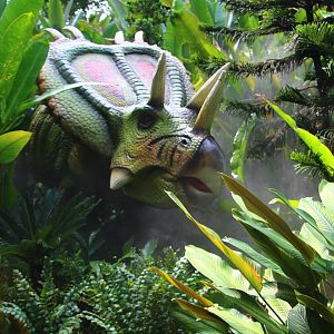 Dinosaur Valley - Mojoceratops