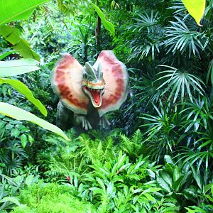 Dinosaur Valley - "Hollywood" Dilophosaurus