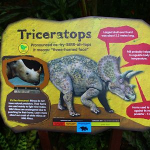 Dinosaur Valley - Identification Sign