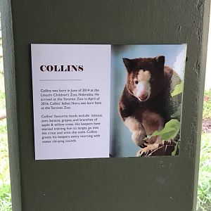 Tree Kangaroo Plaque