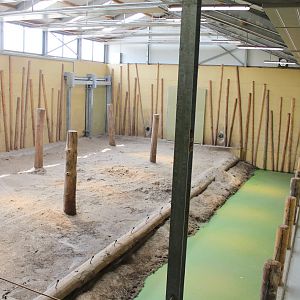 Indoor Elephant Enclosure