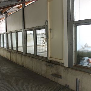 Elephant-house First floor Macaque Indoors