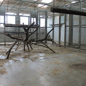 Elephant-house First floor Macaque Indoors