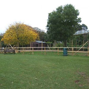 View of Common Rhea enclosure being re-fenced and house having work done on it