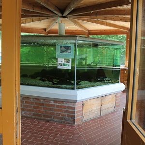 Aquarium in the bear-house