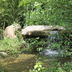 Waterfall toward Penguin-enclosure