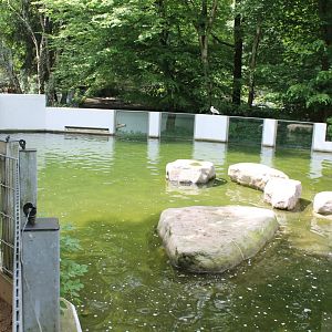 Part Penguin-enclosure