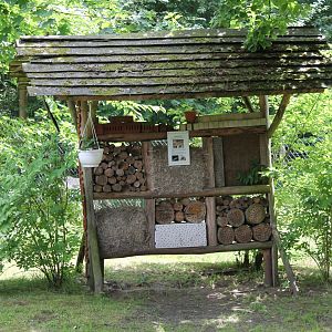 Insect-hotel