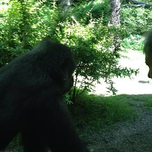 10438624_10203998358380897_1035631267226247607_n