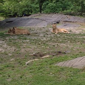 10414544_10203998365421073_1420704913712494490_n