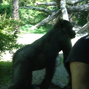 10411270_10203998359820933_3905683112900043474_n