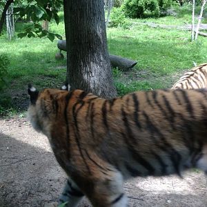 10406964_10203998371141216_7198102420937630814_n