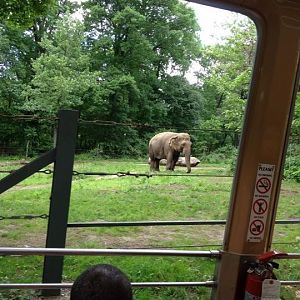 10394589_10203998366741106_5872667452950264073_n