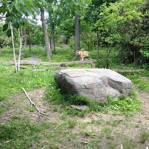 10371952_10203998372381247_6211176451957532116_n