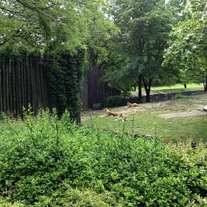 10351605_10203998363261019_9035938592397015744_n