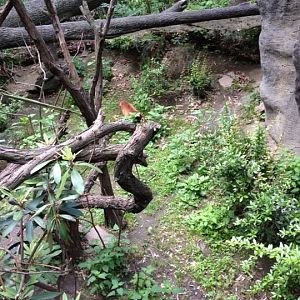 10349089_10203998368981162_890025254579968075_n