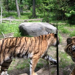 10338245_10203998369941186_8086867096563900197_n